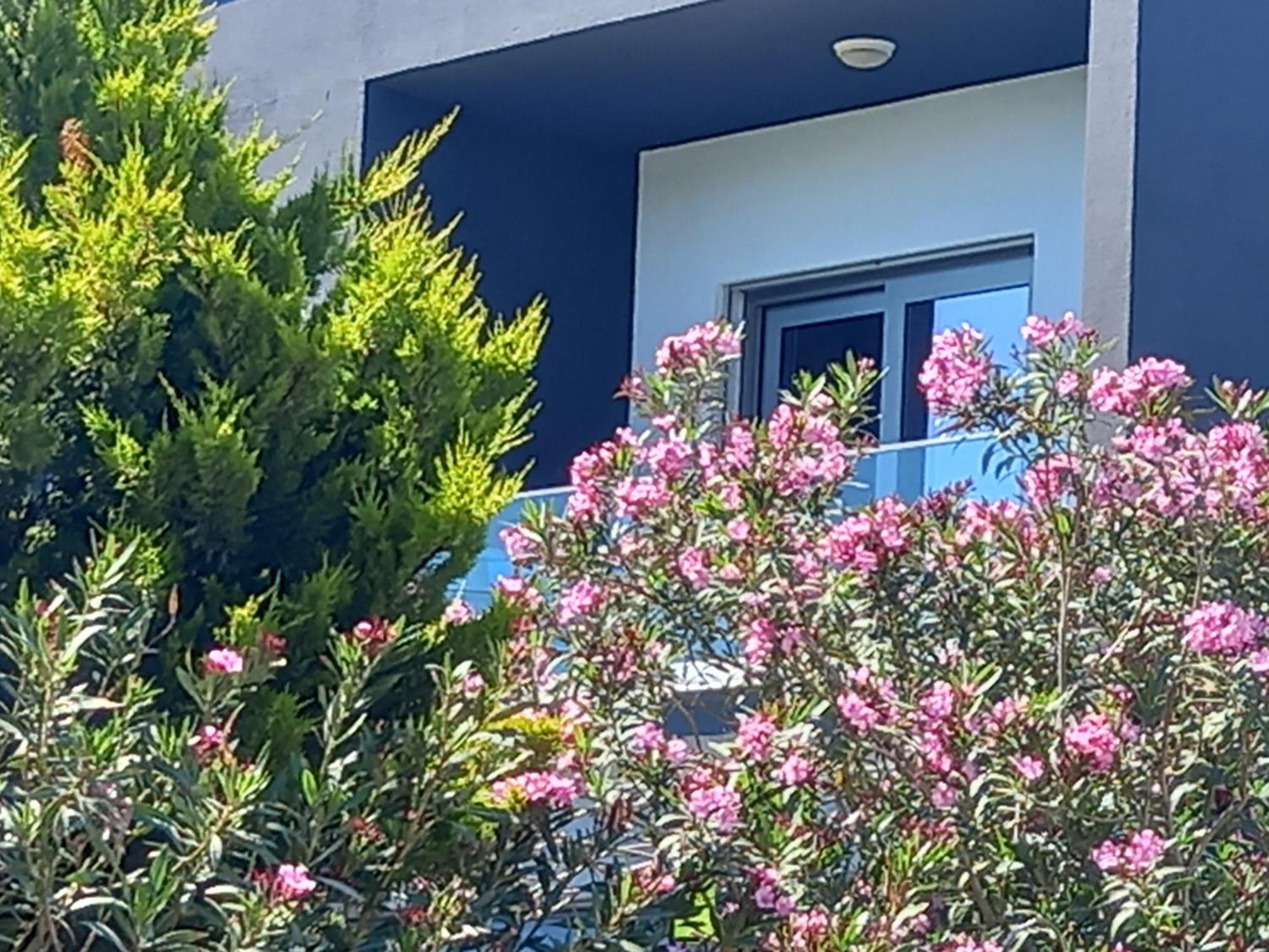 Çeşme Mavi Panorama Villa מראה חיצוני תמונה