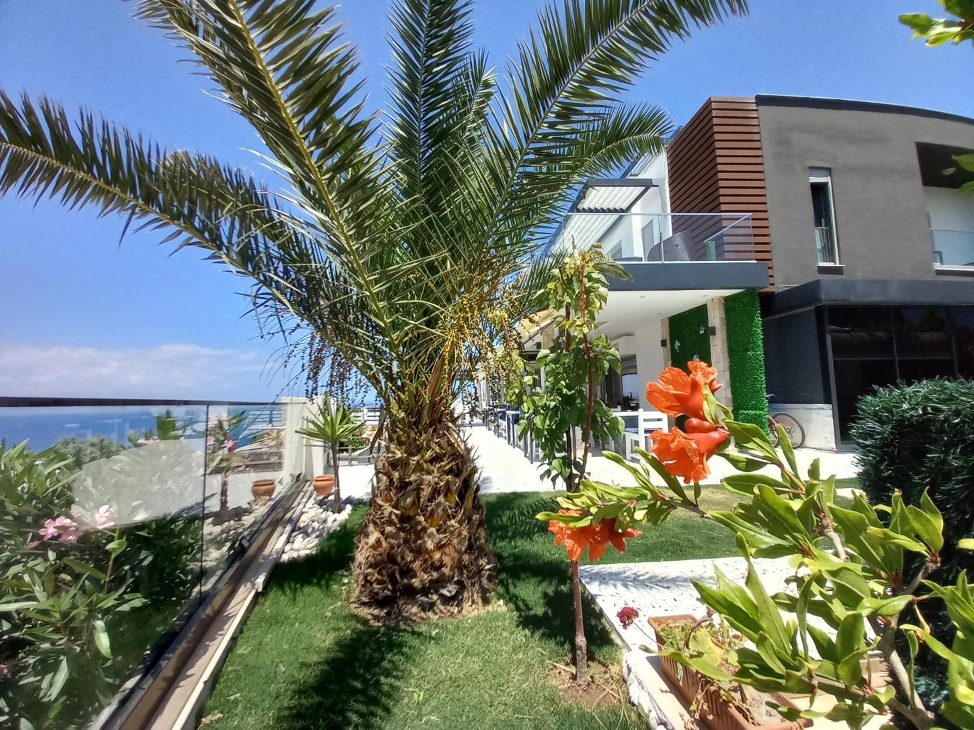 Çeşme Mavi Panorama Villa מראה חיצוני תמונה